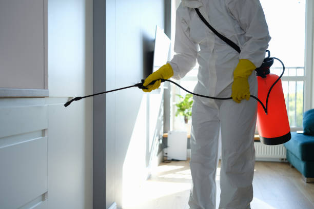 Pest Control for Restaurants and Food Service in Prescott Valley, AZ